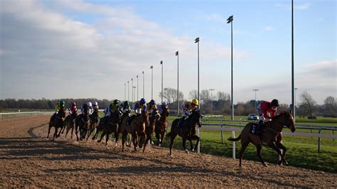 southwell race card today.